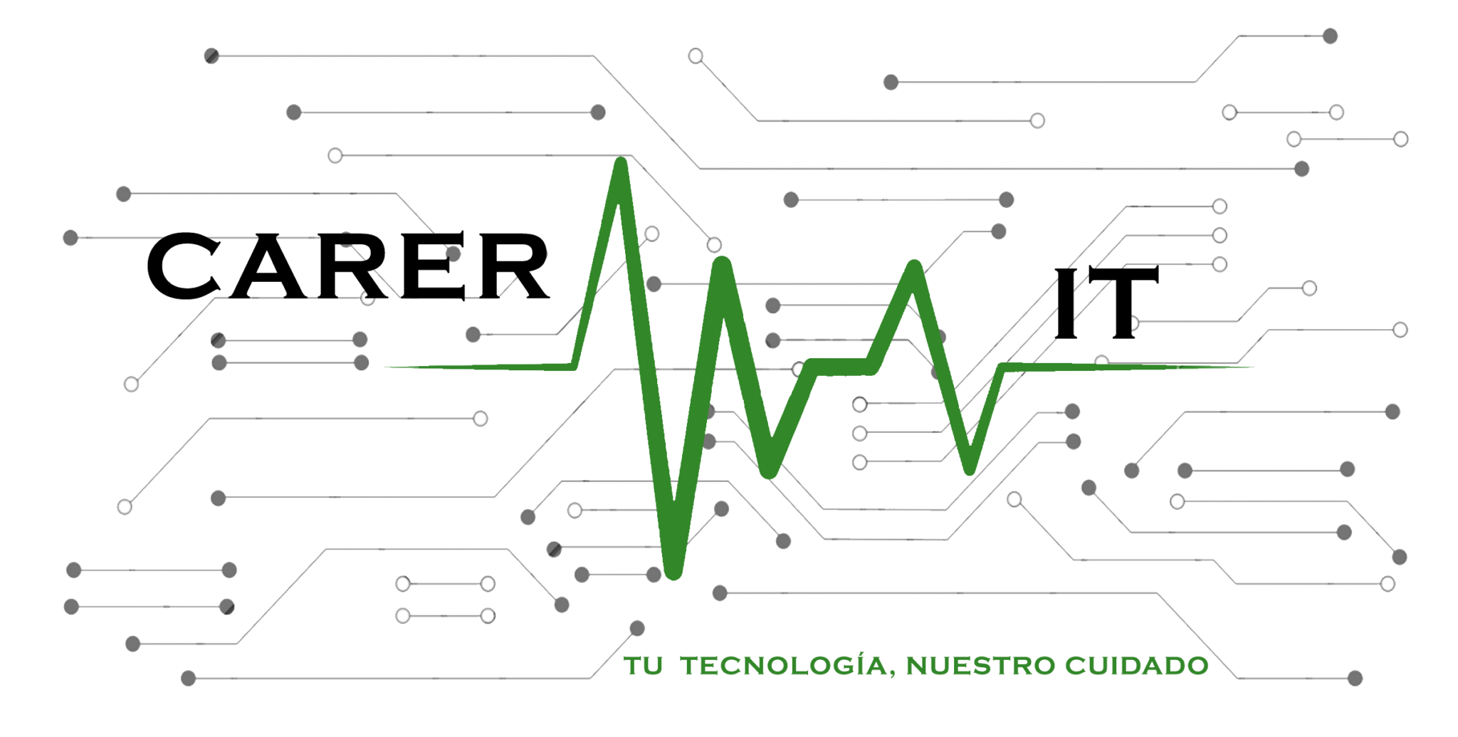 Logo de CarerIT